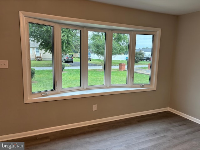 entryway featuring a healthy amount of sunlight and hardwood / wood-style flooring