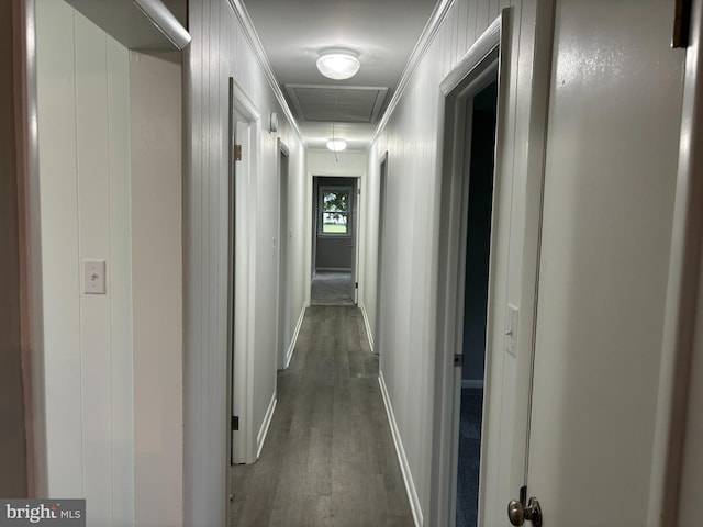 corridor featuring dark hardwood / wood-style flooring and crown molding