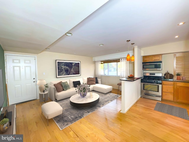 living room featuring light hardwood / wood-style flooring