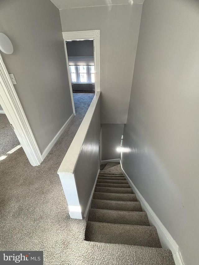 staircase featuring carpet flooring