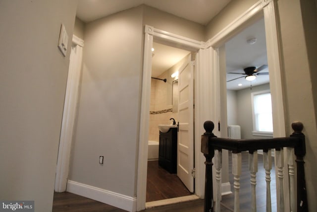 corridor featuring radiator, sink, and dark hardwood / wood-style floors