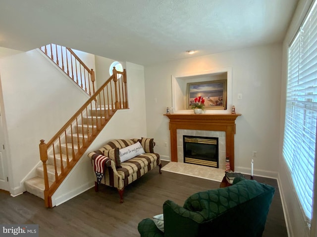 living room featuring a fireplace and dark hardwood / wood-style flooring