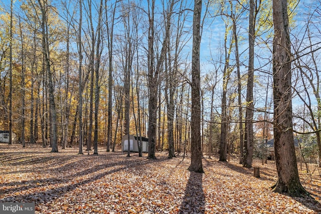 view of yard with a storage unit