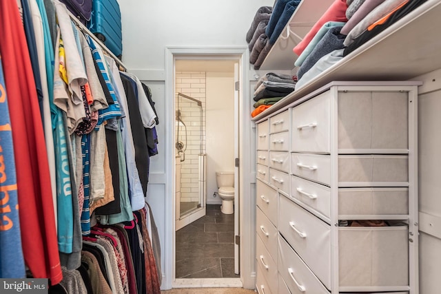 view of walk in closet