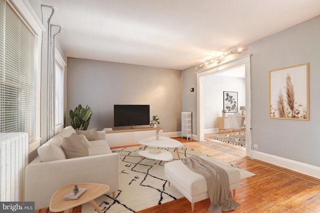 living room featuring radiator and light wood-type flooring