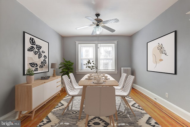 dining area with radiator, ceiling fan, and light wood-type flooring