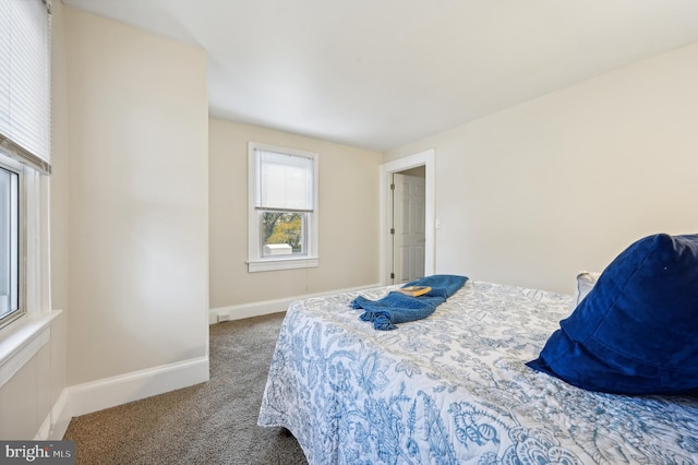 bedroom featuring carpet