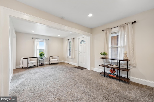 living area featuring carpet