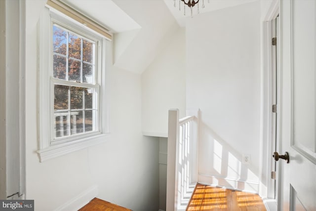 stairway with wood-type flooring and a notable chandelier