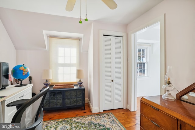 office space featuring a wealth of natural light, light hardwood / wood-style flooring, and ceiling fan