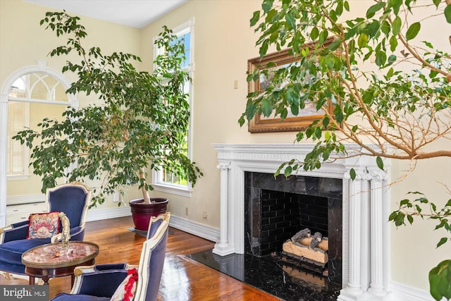 interior space featuring a high end fireplace and wood-type flooring