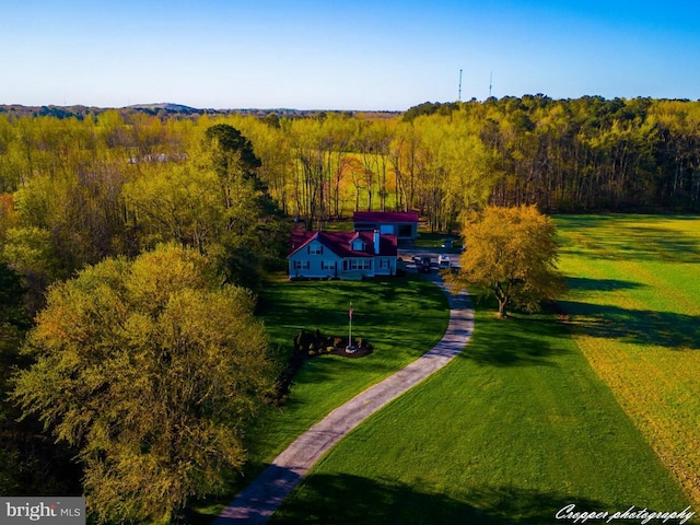 bird's eye view