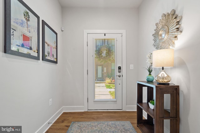 entryway featuring wood-type flooring