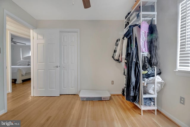 walk in closet with hardwood / wood-style floors and ceiling fan