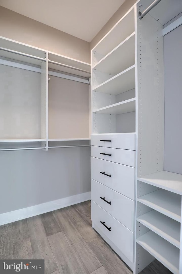 spacious closet featuring wood finished floors