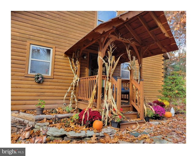 property entrance with a porch