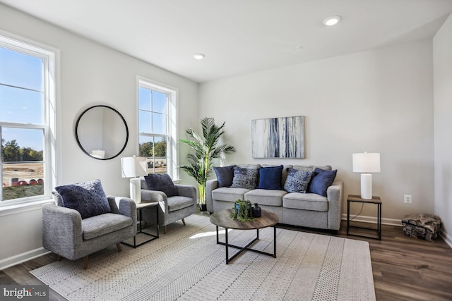 living room featuring wood-type flooring