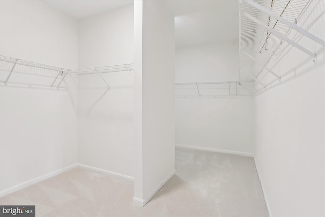 walk in closet featuring light colored carpet