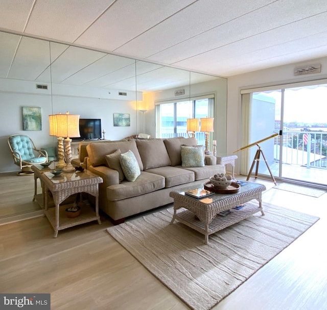 living room with hardwood / wood-style flooring