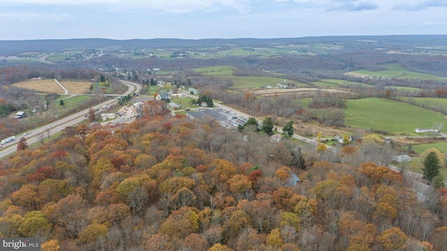 bird's eye view