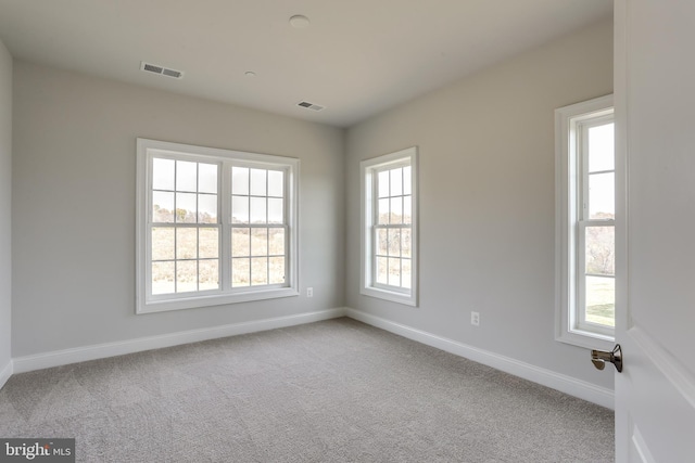 carpeted spare room with a wealth of natural light