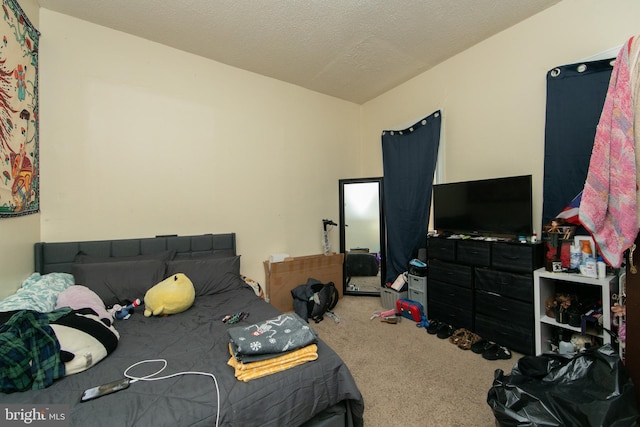 carpeted bedroom with a textured ceiling