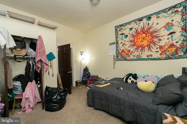 carpeted bedroom with a textured ceiling