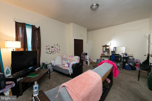 living room with carpet flooring and a textured ceiling