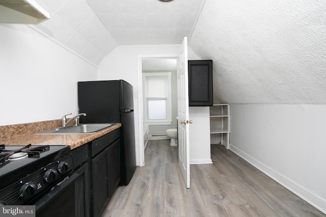 bathroom with toilet, wood-type flooring, lofted ceiling, and vanity