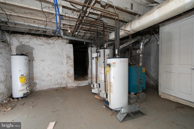 basement with gas water heater