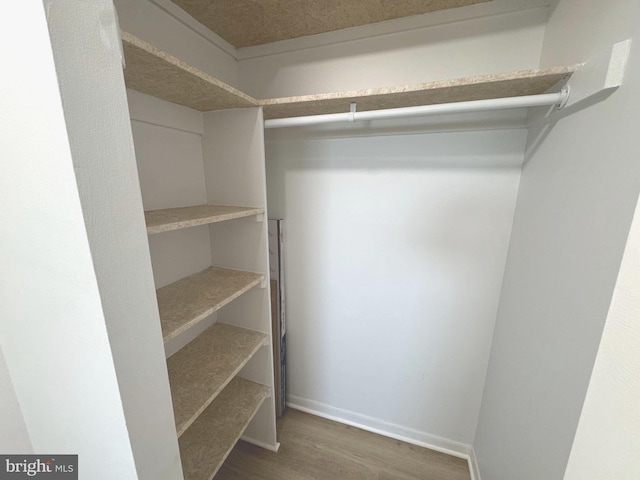 walk in closet featuring wood finished floors