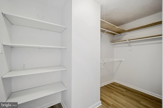 spacious closet featuring wood finished floors