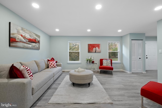 living room with plenty of natural light and light hardwood / wood-style flooring