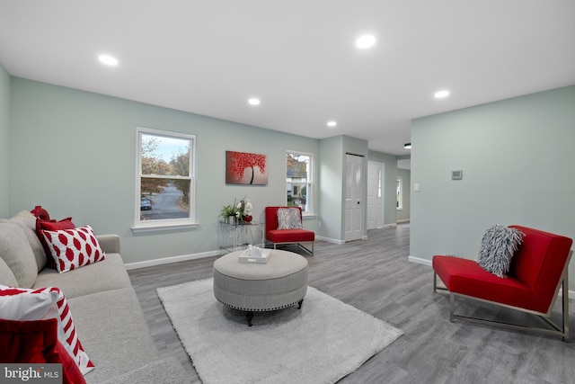 living room featuring hardwood / wood-style flooring