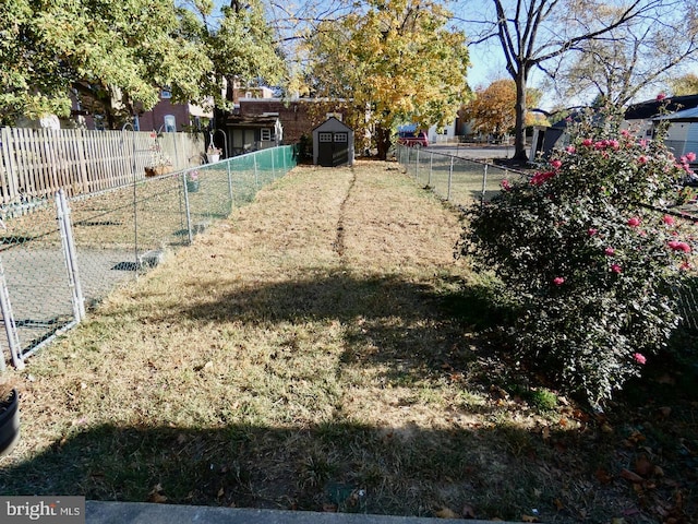 view of yard featuring a storage shed