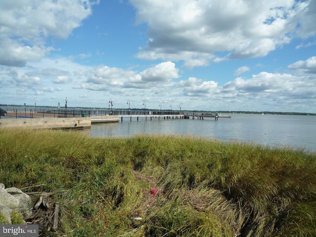 property view of water featuring a dock