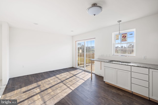 interior space with sink and dark hardwood / wood-style floors