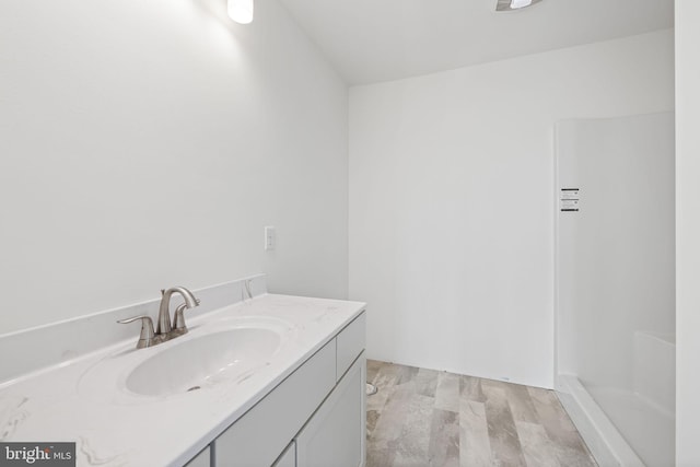 bathroom with vanity and wood-type flooring