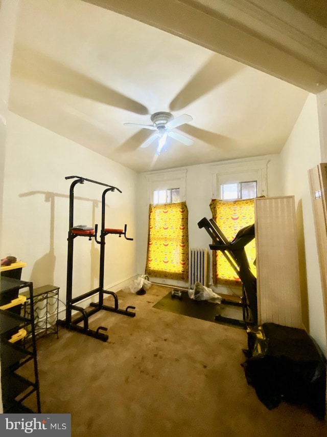 exercise room with ceiling fan, radiator heating unit, and carpet