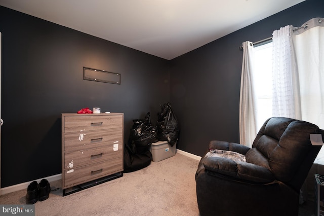 sitting room with carpet flooring