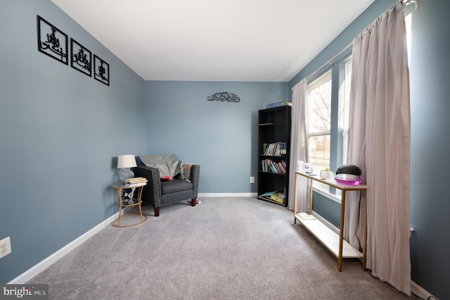 sitting room with carpet