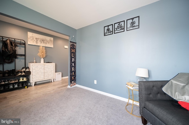 sitting room featuring carpet