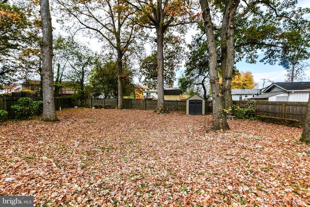 view of yard with a shed