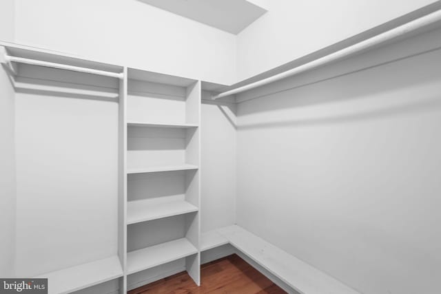 spacious closet with dark wood-type flooring