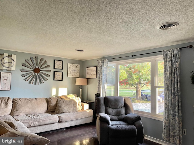 living room featuring dark wood-type flooring, crown molding, and a textured ceiling