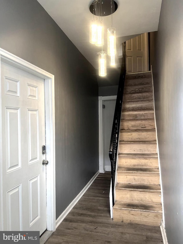 staircase featuring hardwood / wood-style flooring