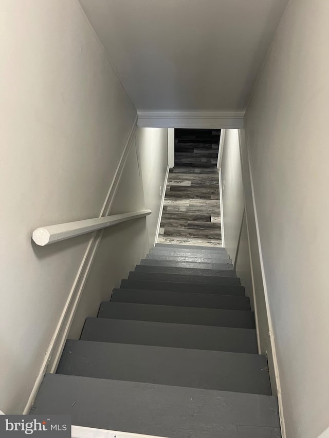 stairs featuring wood-type flooring