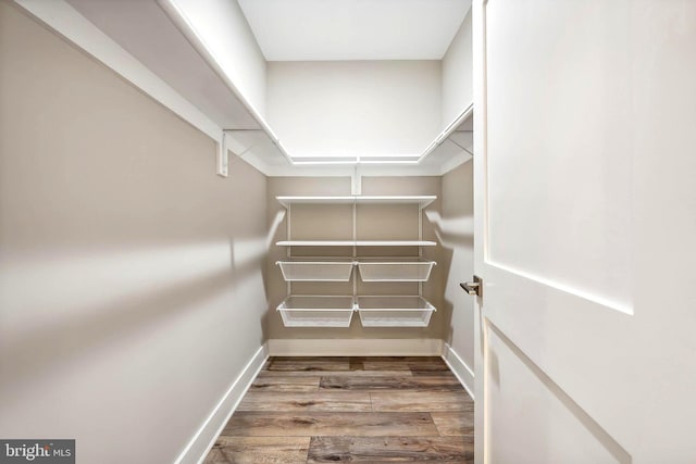 spacious closet with hardwood / wood-style flooring