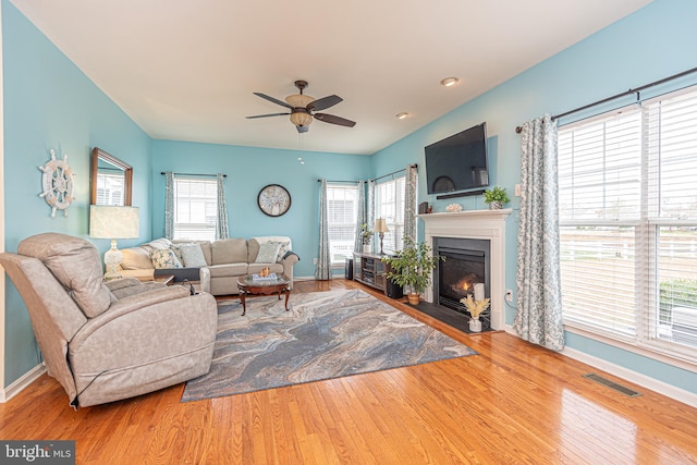 living room with hardwood / wood-style floors, ceiling fan, and a healthy amount of sunlight