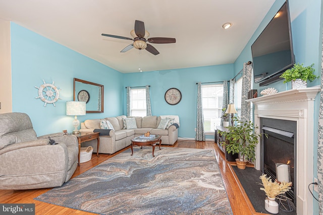 living room with ceiling fan, a healthy amount of sunlight, and hardwood / wood-style flooring